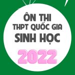 Hướng dẫn ôn thi THPT Quốc Gia môn sinh 2022