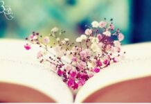 Thông minh, mạnh mẽ, ngu ngốc và may mắn