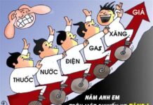 Anh em sinh năm