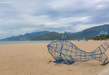 Một lá thư từ Thanh Hóa