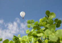 Chắp cánh ước mơ