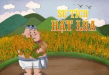 Sự tích hạt thóc