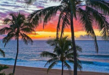 Trẻ con thế giới học hè ra sao