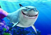 Sự tích con cá mập