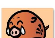 Heo rừng và Thỏ