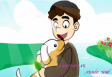 Con chó, con mèo và anh chàng nghèo khổ