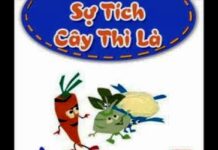 Sự tích cây Thì Là