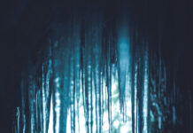 TRỊ VÌ BẰNG NỖI SỢ HÃI – RULE BY FEAR