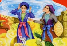 Quả thị áo xanh>