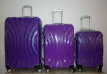 Chuyện Tony đi du lịch