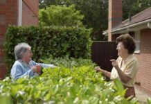 Cô láng giềng ơi