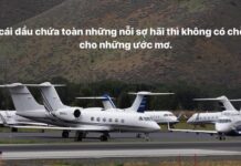 Bạn ước mơ làm cái gì thì mạnh dạn làm đi