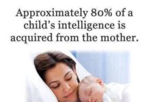 Chuyện nhà ông Bèn