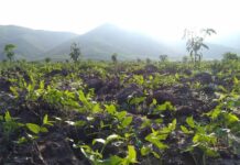 Cách tạo vốn cho bản thân