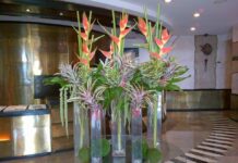 Một đêm trực định mệnh