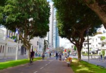 Quê hương là để trở về…