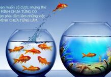 Nhìn hiện tại, đoán tương lai