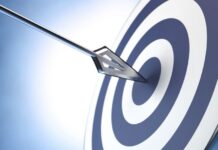 Này người bạn trẻ, bạn là mèo hay hổ?