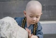 Nhận thức con người lên rất cao nhờ bài này