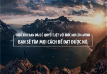 Chuyện hoa chuyện liễu (bài 1)