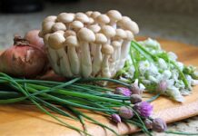 Đi mới biết làm giàu