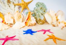 Bài ca không chỉ là nốt nhạc!