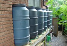 Chuyện thằng Nghĩa (Truyện kinh dị, 19+)