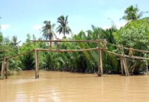 Một lá thư từ Sóc Trăng