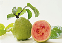 Chuyện ăn ổi ở Bỉ (Belgium Guava)