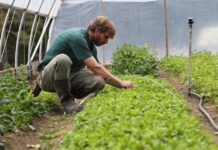 Một lá thư Măng Đen