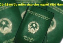 Cuộc đời đó, có bao lâu, mà hững hờ?