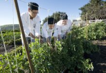 Nếu thời gian có quay trở lại…