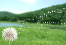 Đời không đẹp như mơ