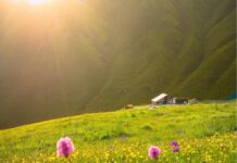 Một đứa trẻ lớn lên như ong bướm hay ruồi nhặng, là do ai?