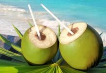 Ọt ga nít cô cô nớt