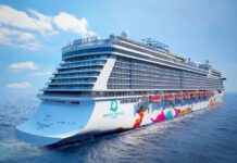 Bay trên cánh sóng