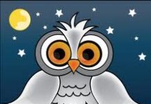 CÚ MÈO VÀ CHÂU CHẤU