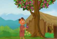 Sự tích cây vú sữa