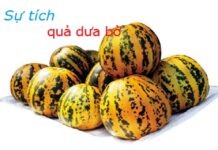 Sự tích dưa bở