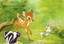 Tôi ngu sao được