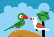 Sự tích chim Quốc