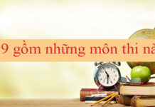 C19 là tổ hợp môn gì, học ngành nào?