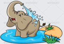 Con voi và người quản tượng già