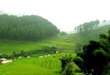 Gốc tích Ruộng thác đao