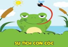 Sự tích con cóc – Truyện cổ tích Hàn Quốc