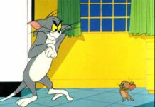 Bông hồng thủy tinh