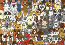 Cùng luyện tinh mắt với những bức tranh đố “hại não” dưới đây nào!