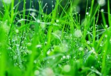 Tan vỡ hoặc tỏa sáng