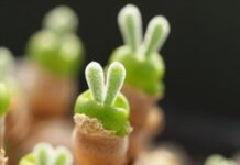 Nuôi dưỡng tâm hồn