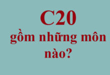 C20 gồm những môn nào, ngành nào?